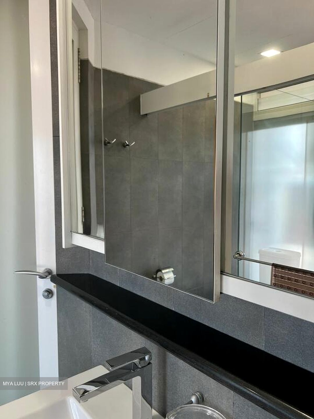 Airview Park (D21), Semi-Detached #503742201